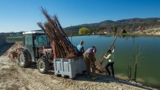 Bepflanzung der eigenen landwirtschaftlichen Felder