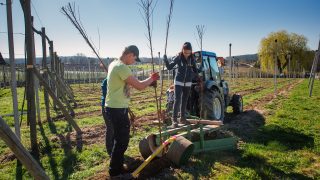 landwirtschaftliche Bearbeitung der eigenen Felder