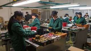 Service-Packing3